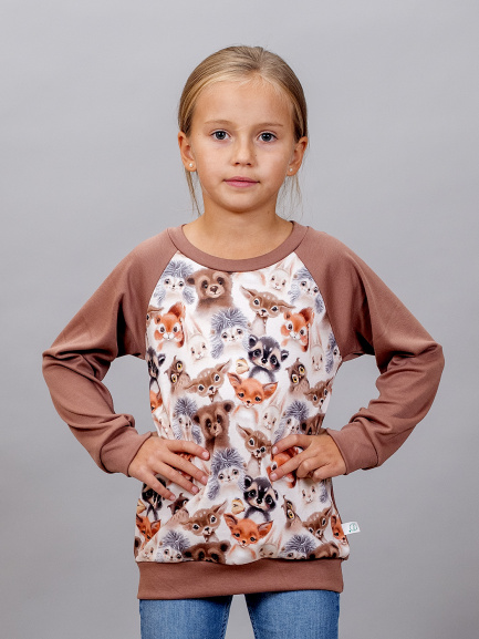 Джемпер (свитшот)