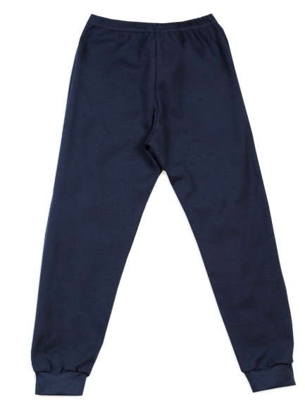 Брюки синий