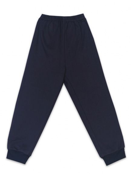 Брюки синий