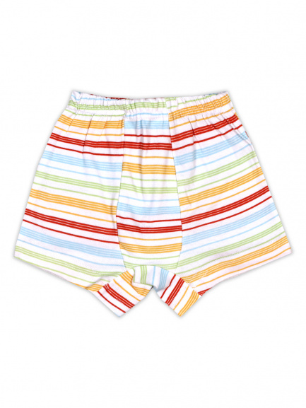 Трусы-боксеры полоска разноцвет