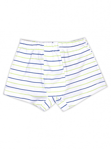 Трусы-боксеры полоска салат/синий