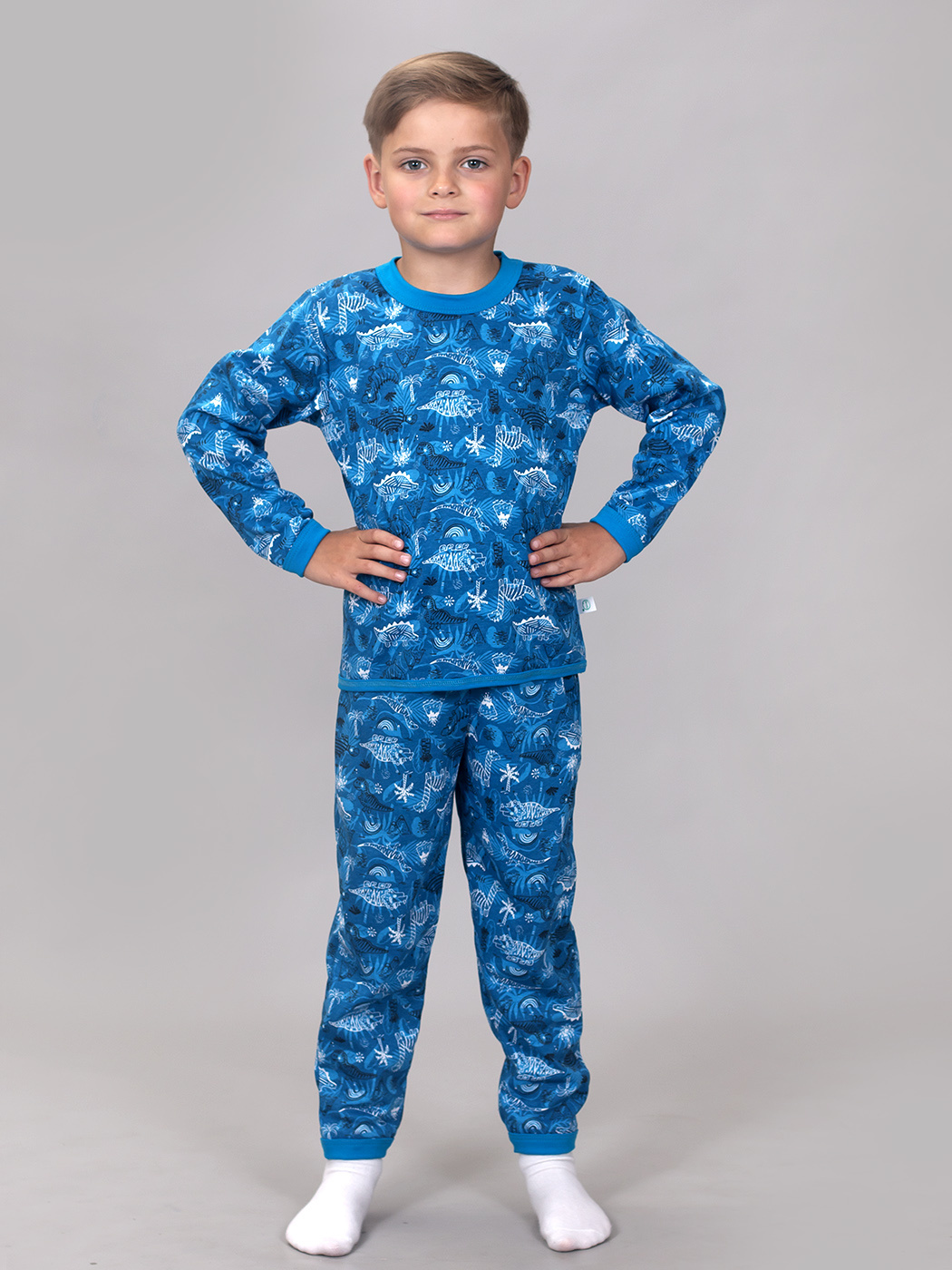 Пижама детская ПЖТ-209 птеродак/голубой - купить в Санкт-Петербурге на  https://www.zaitsew.ru/
