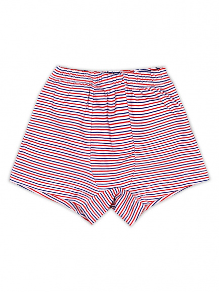 Трусы-боксеры полоска синий/красный