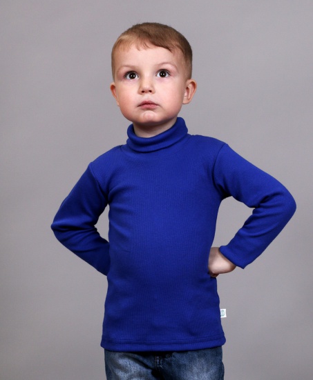 Водолазка (бадлон) однотон василек