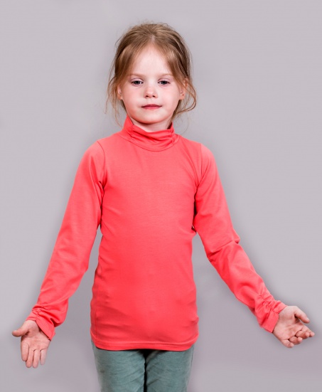 Бадлон водолазка