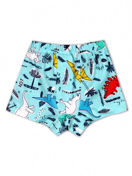 Трусы-боксеры